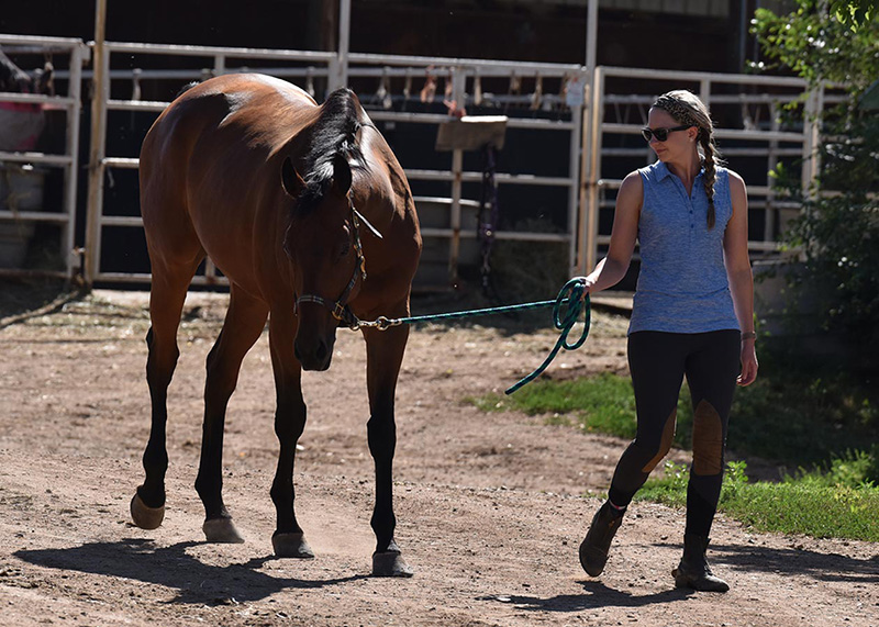 Cottonwood Riding Club800x2